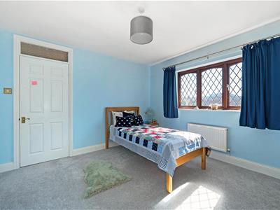 Picture 19
